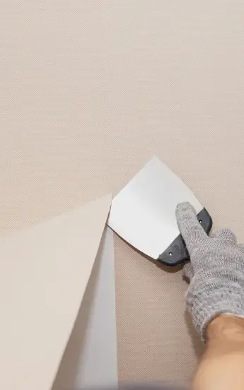 Wallpaper Removal