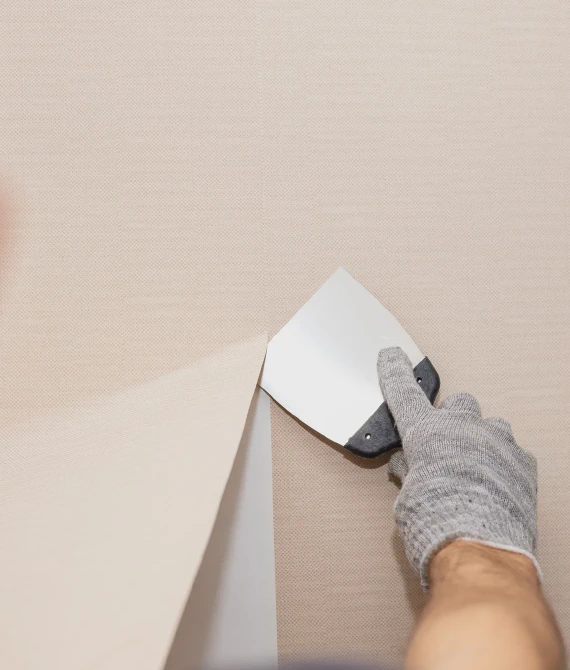 Wallpaper Removal